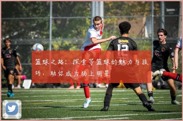 篮球之路：探索等篮球的魅力与技巧，助你成为场上明星