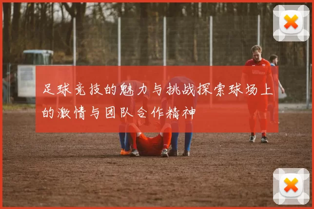足球竞技的魅力与挑战探索球场上的激情与团队合作精神